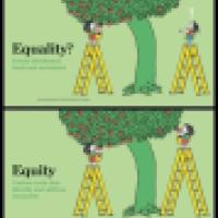 Inequality explanation using a tree as a metaphor