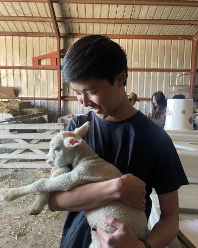 This is a profile picture of Writing Center tutor Theodore Lee.