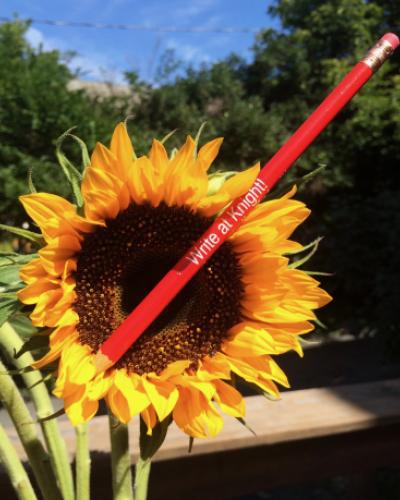 Write at Knight pencil nested in a sunflower