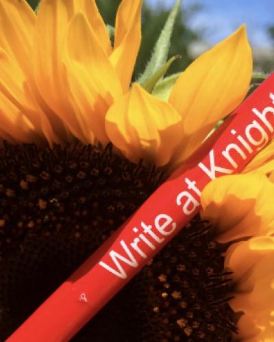 Sunflower with pencil